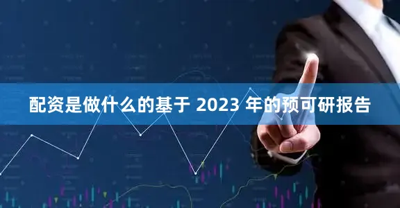 配资是做什么的基于 2023 年的预可研报告