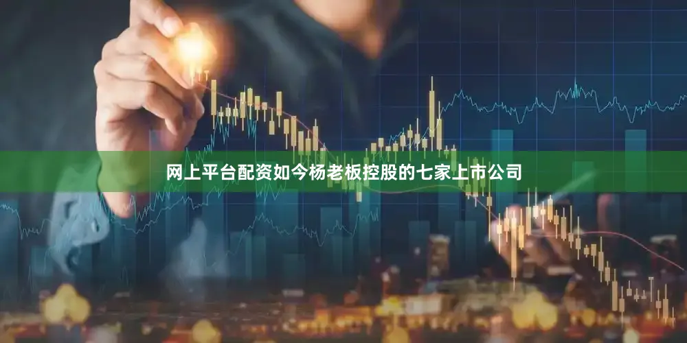 网上平台配资如今杨老板控股的七家上市公司