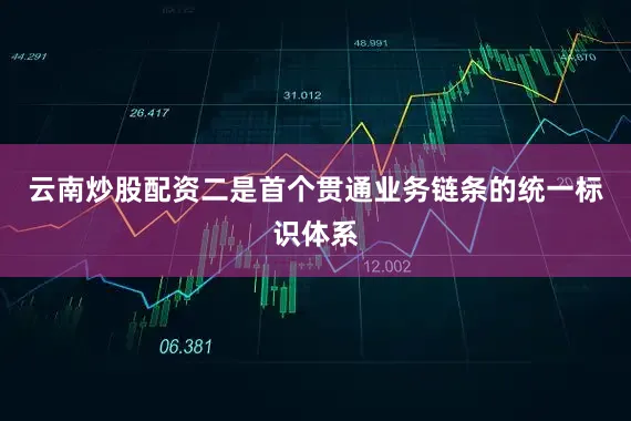 云南炒股配资　　二是首个贯通业务链条的统一标识体系