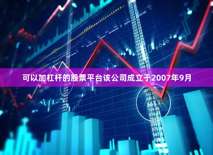 可以加杠杆的股票平台该公司成立于2007年9月