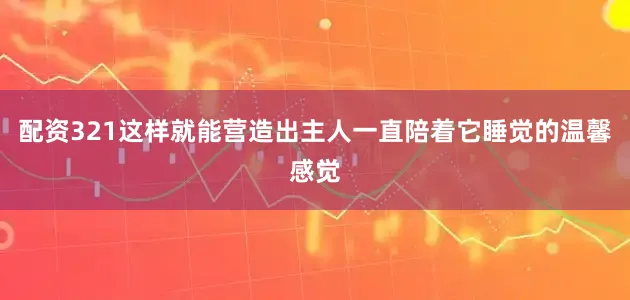 配资321这样就能营造出主人一直陪着它睡觉的温馨感觉