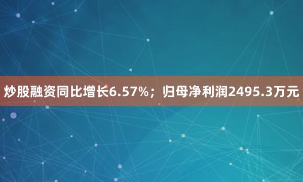 炒股融资同比增长6.57%；归母净利润2495.3万元