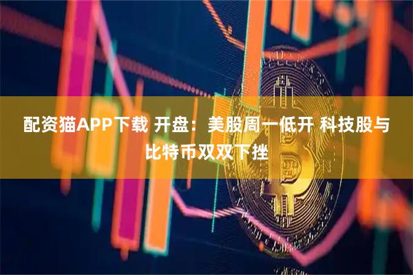 配资猫APP下载 开盘：美股周一低开 科技股与比特币双双下挫