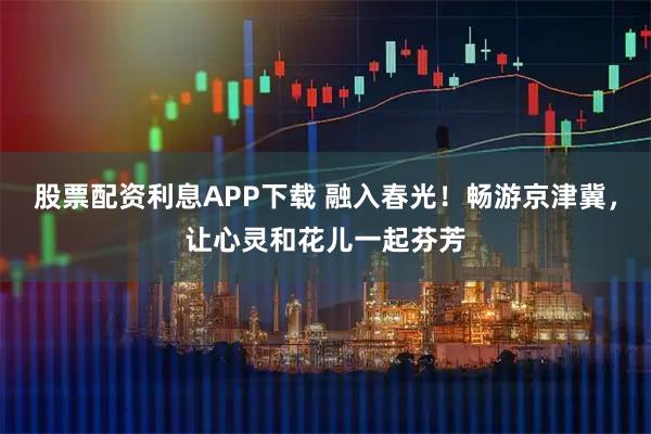 股票配资利息APP下载 融入春光！畅游京津冀，让心灵和花儿一起芬芳