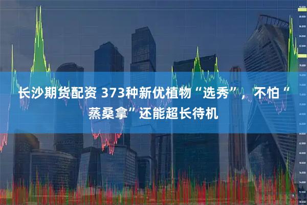长沙期货配资 373种新优植物“选秀”，不怕“蒸桑拿”还能超长待机
